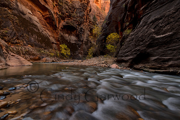 River Rush -