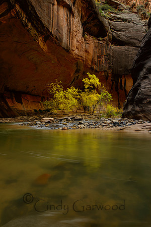 Narrows