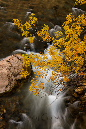Waterfall