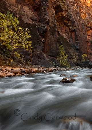 Narrows