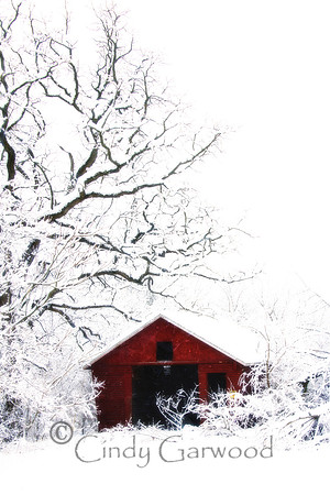 Snowy Days Soft focus
