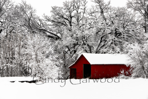 Winter Days, Wisconsin