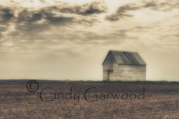 white barn in fog-Illinois