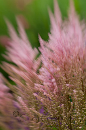 Lensbaby-3006013