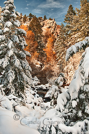 Snowy Colorado -